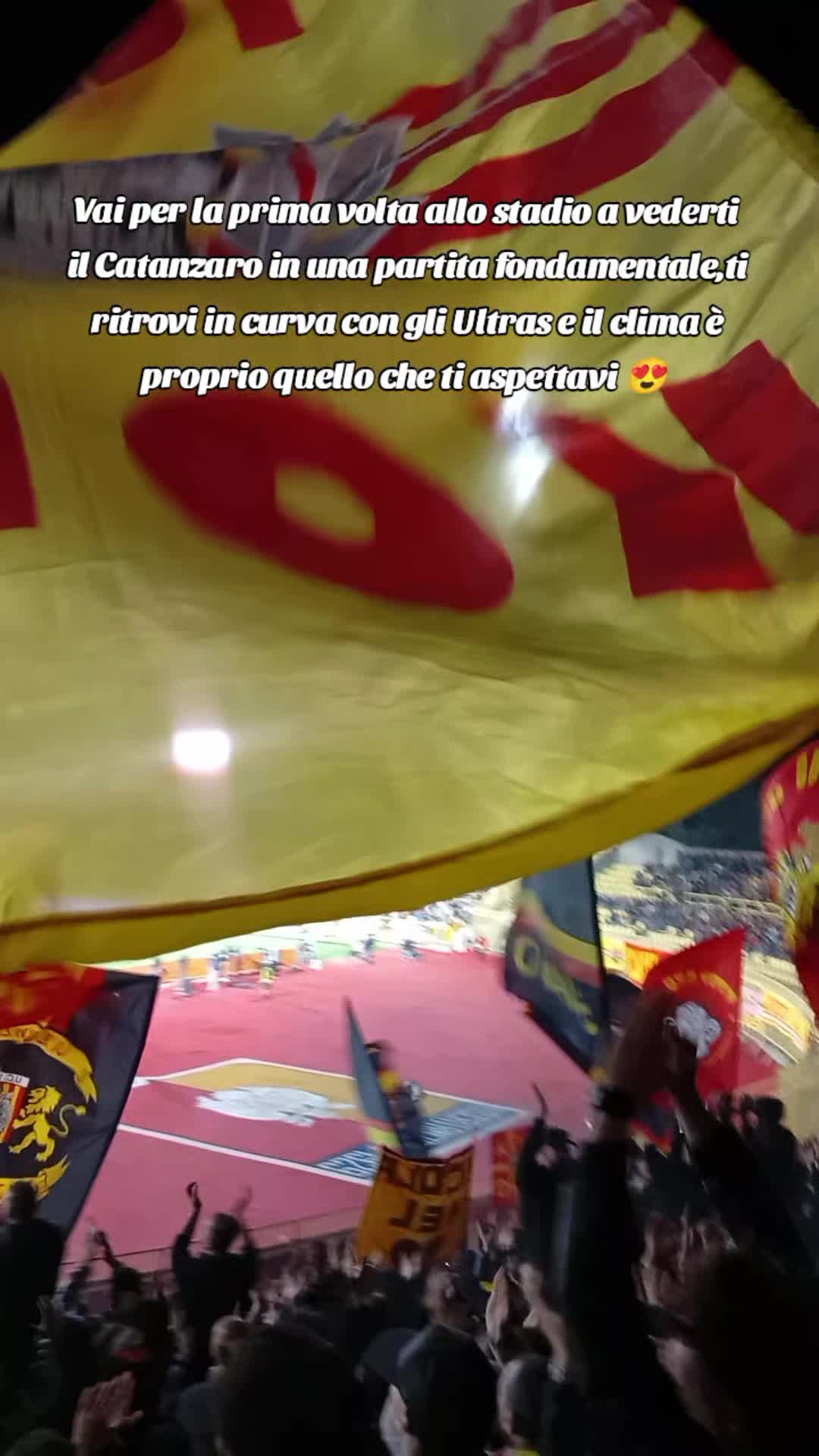 @Laura Nicula