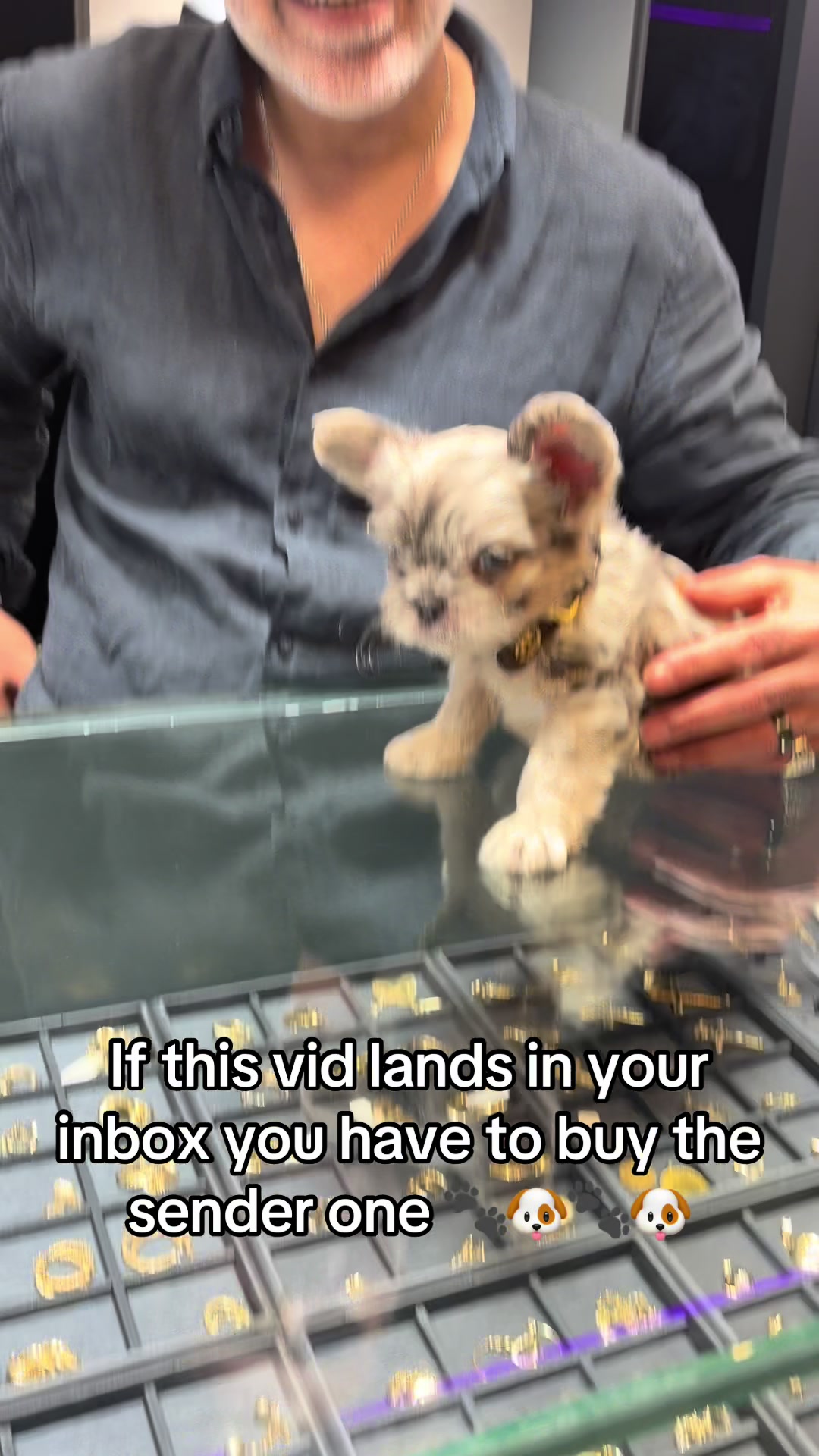 @Trendingbulldogz