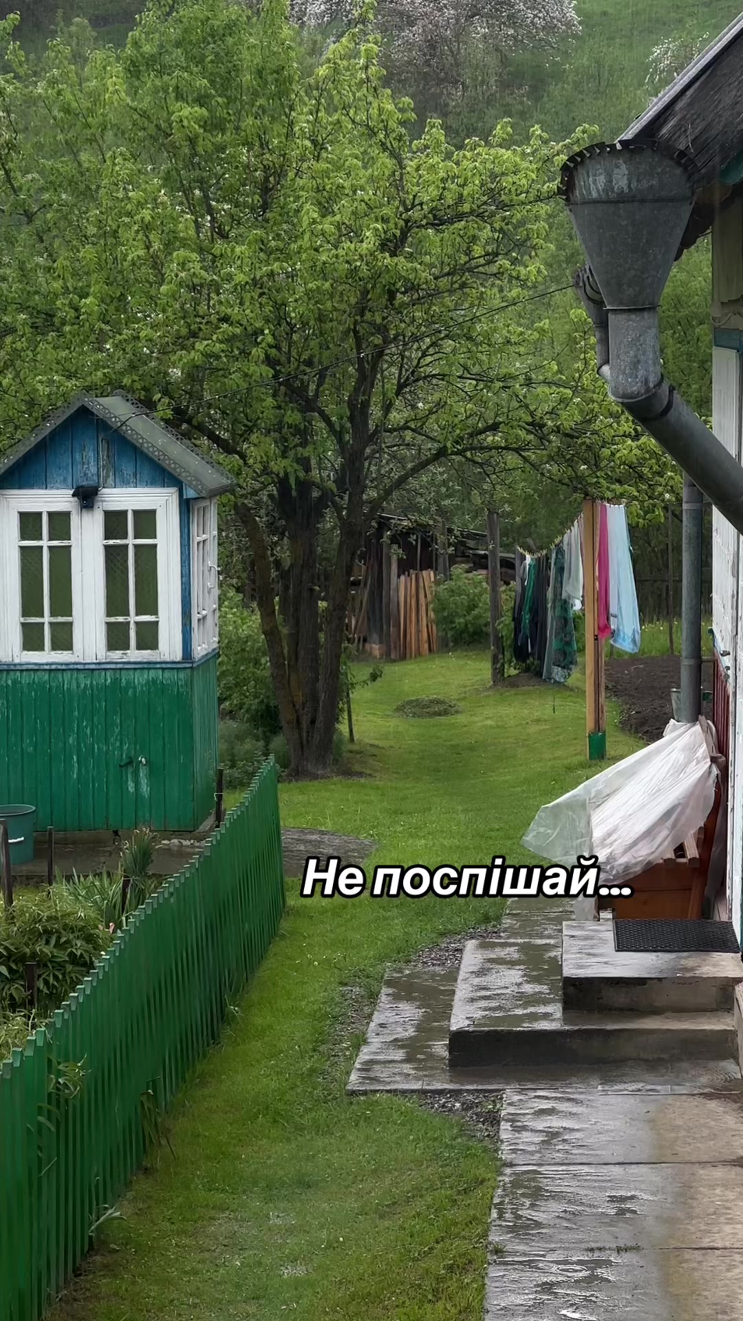 @Карпатський гуцул Любомир 2