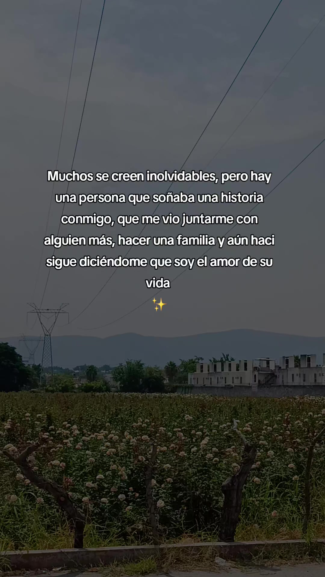 @️LeslyPo