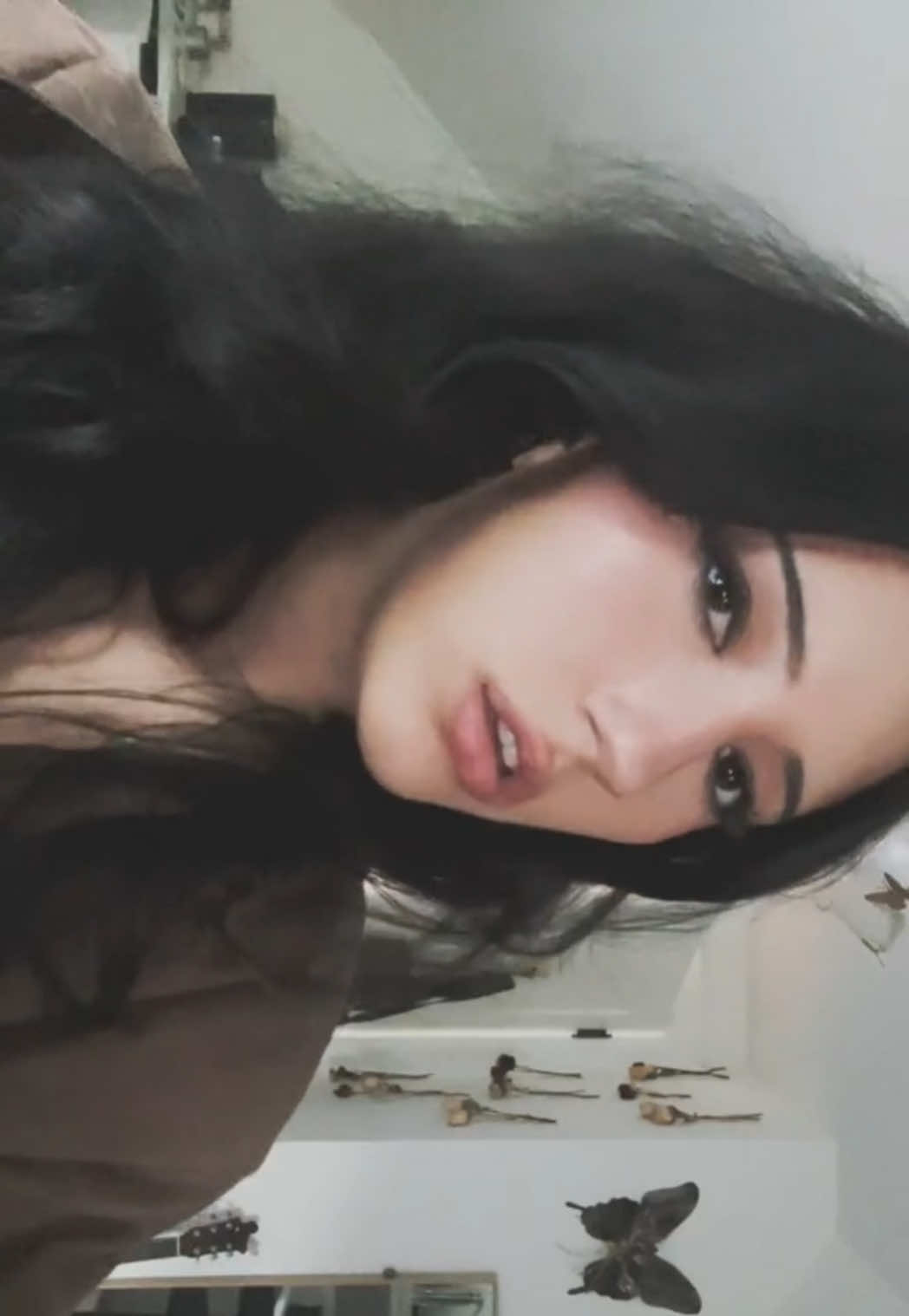 @isla