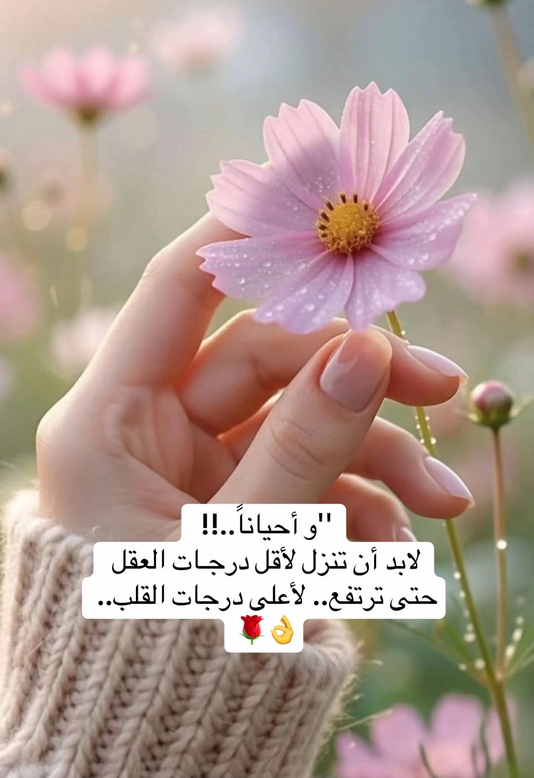 @So🦋so