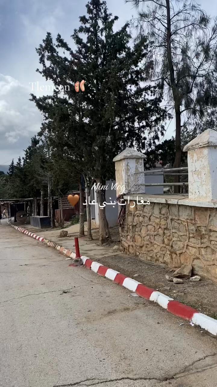@بنت العز 🫶🏻👑