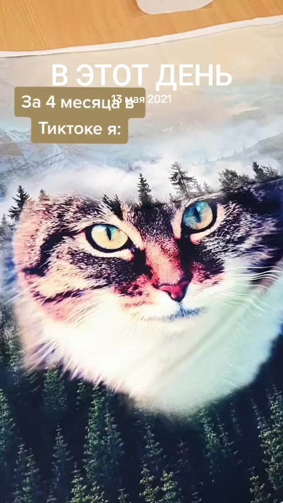 @Портной EvgeniyaPetrik/Moscow