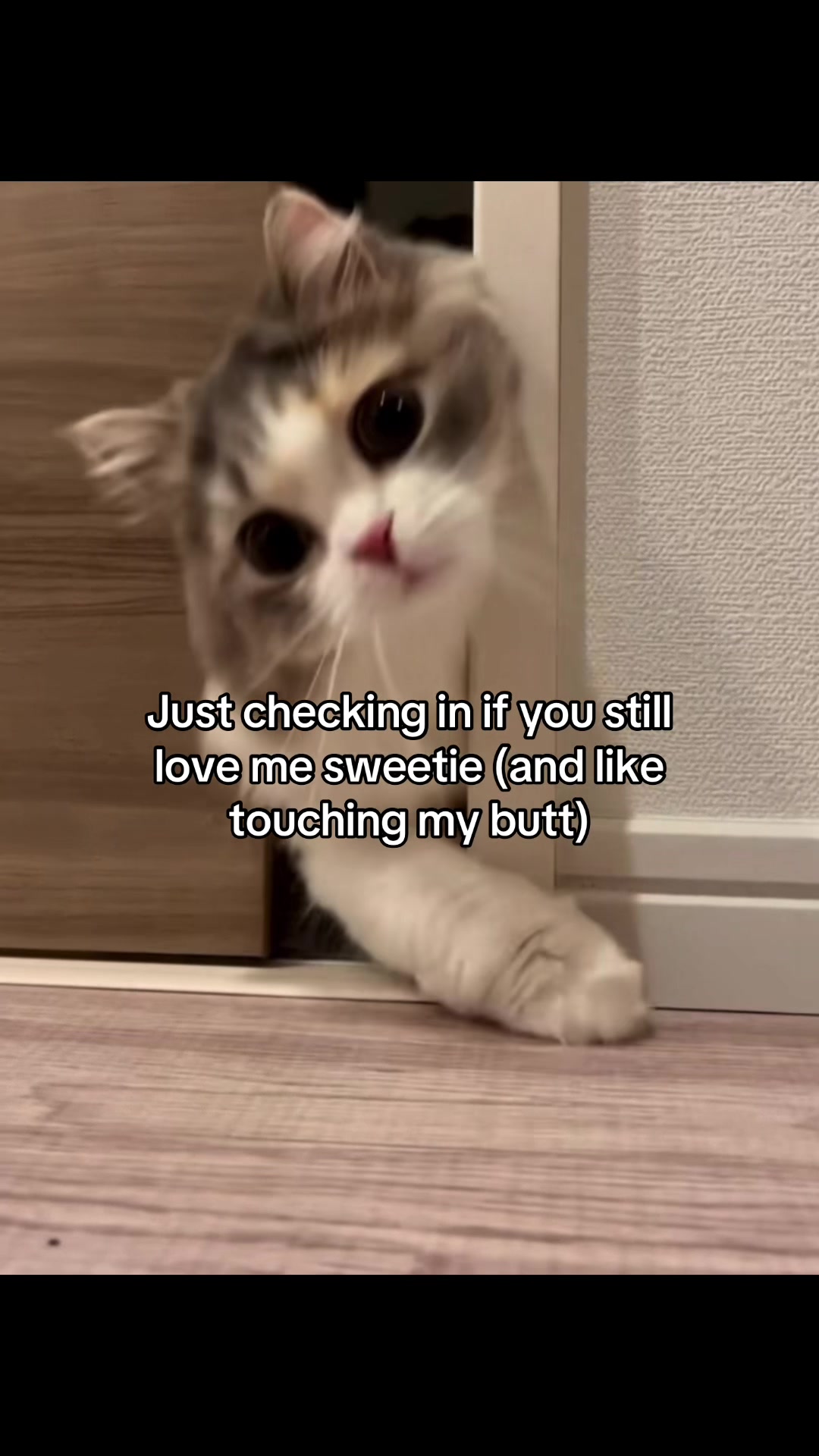 @Molly