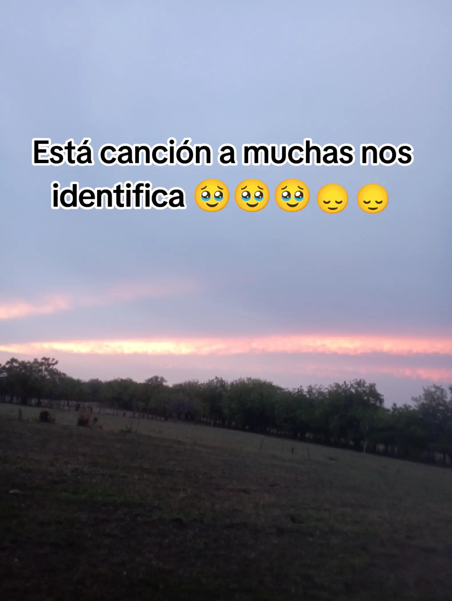 @Luz Mojica🌷🌷🌷