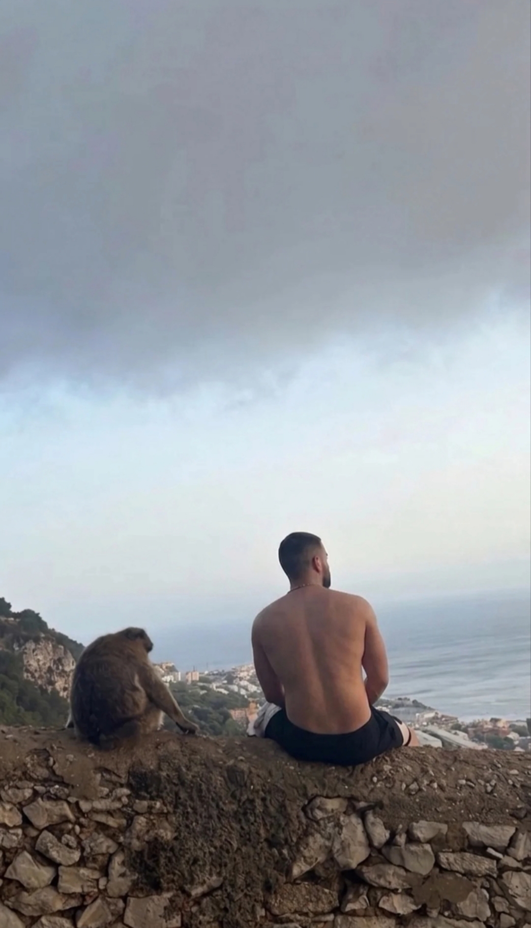 @cxggaavhj