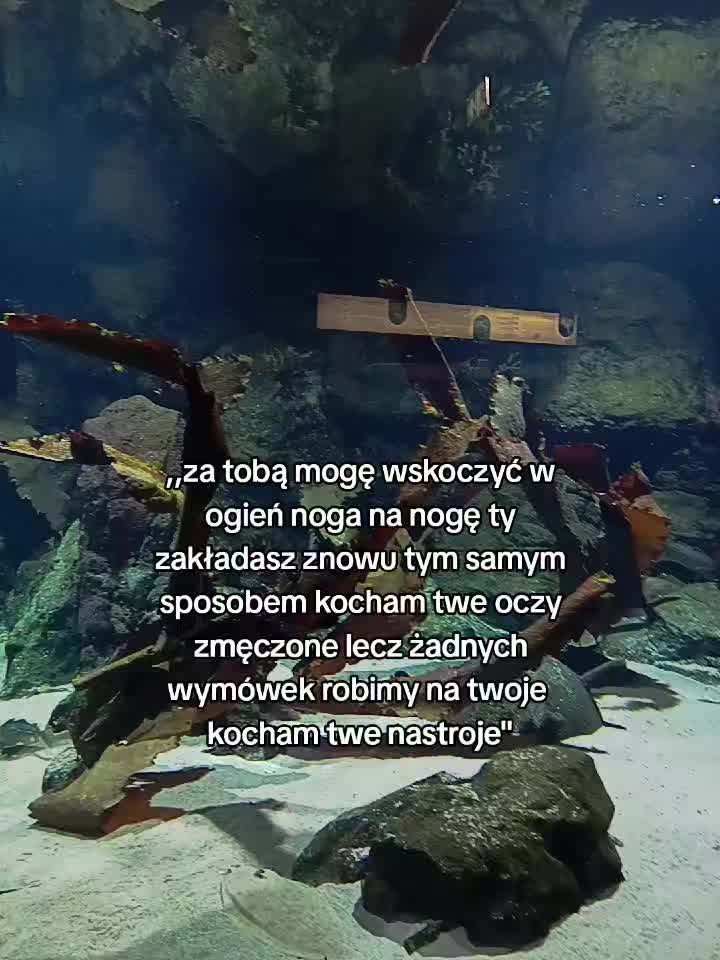 @🎰