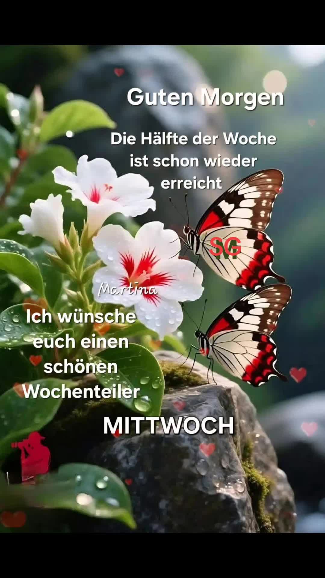 @stefangeilhausen3