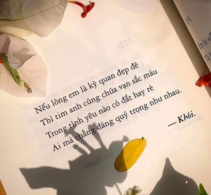 @Trần Anh Tuấn ✌️