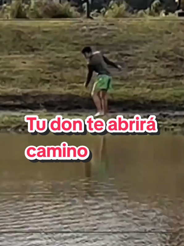 @PRINCIPIOS DE VIDA