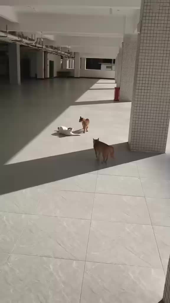 @Funny