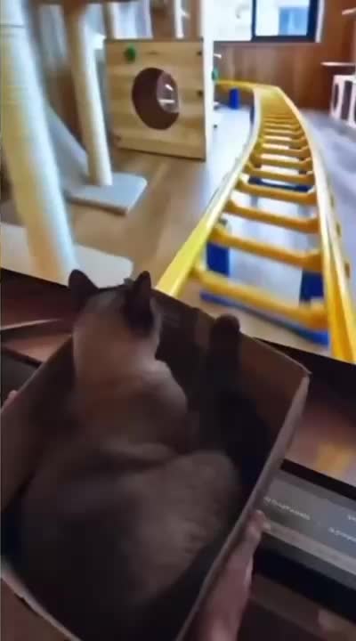 @Funny