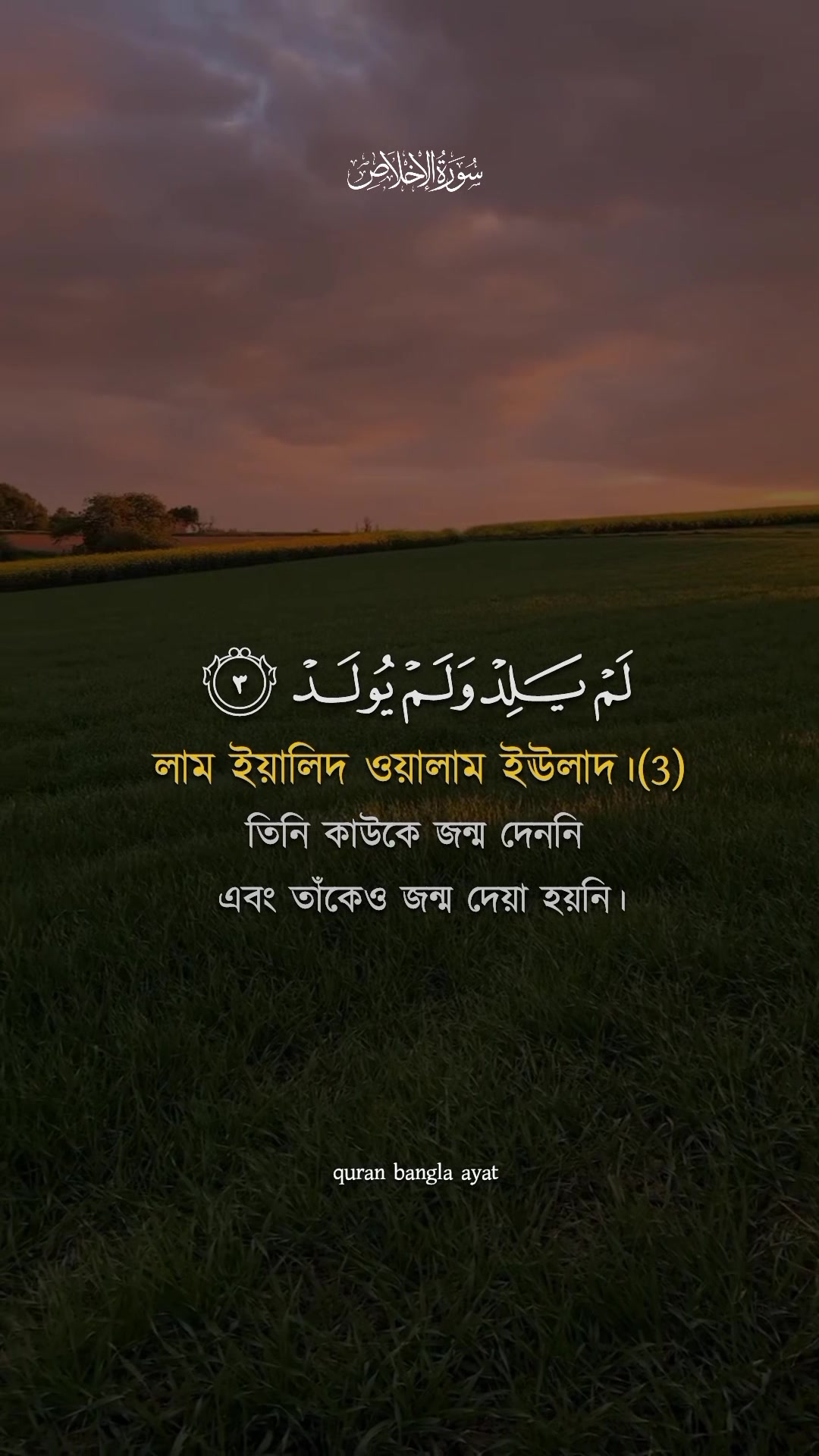 @➤⃝⃝কুরআনের বাণী᭄quran Bangla