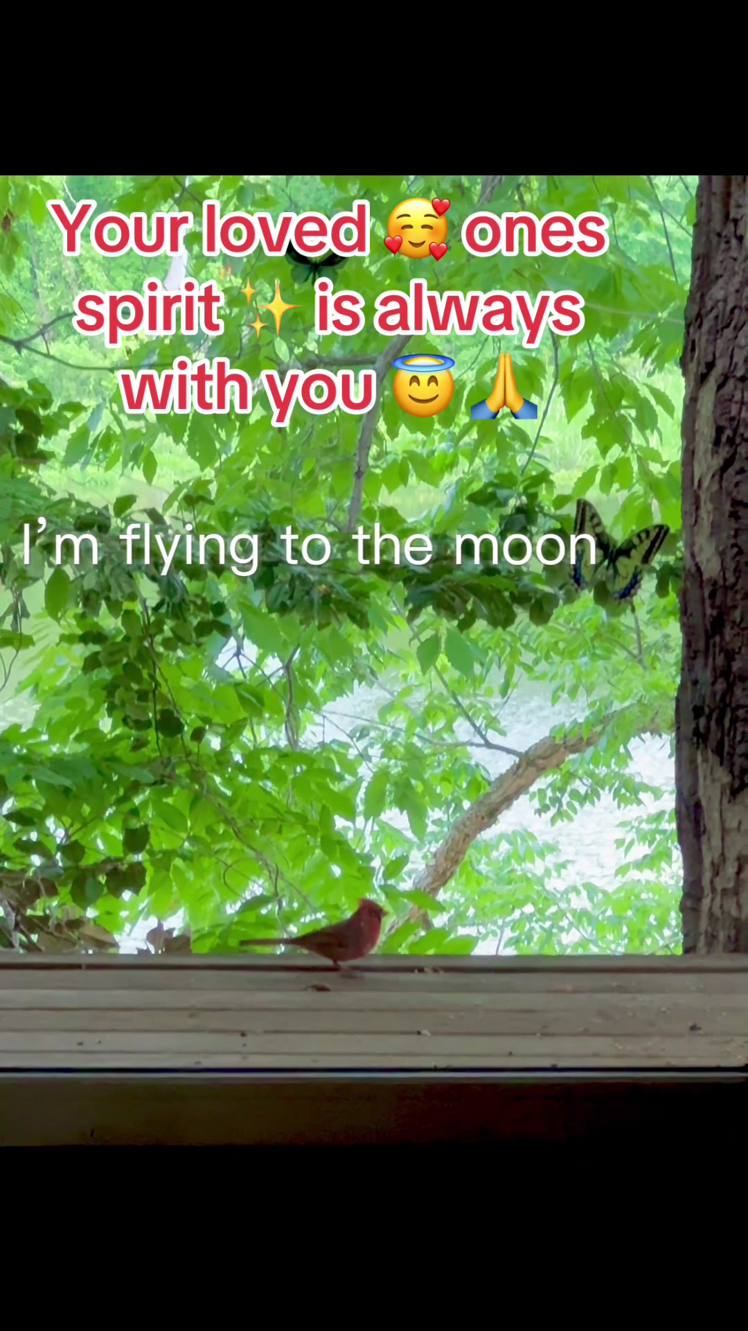 @E🌹