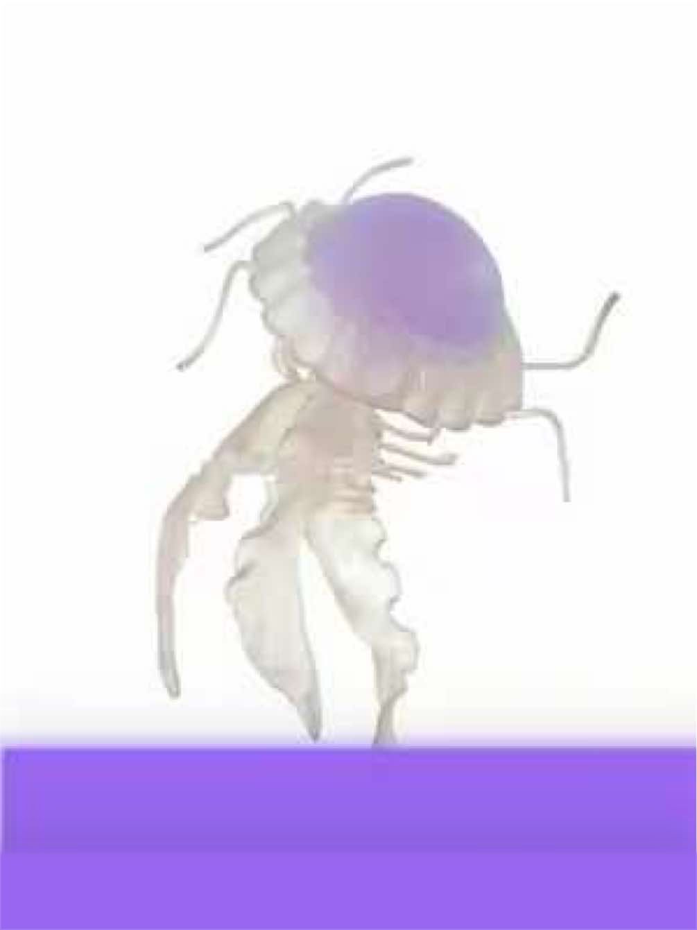@₊˚⊹ | 𝐂𝐡𝐢𝐩 |₊˚⊹