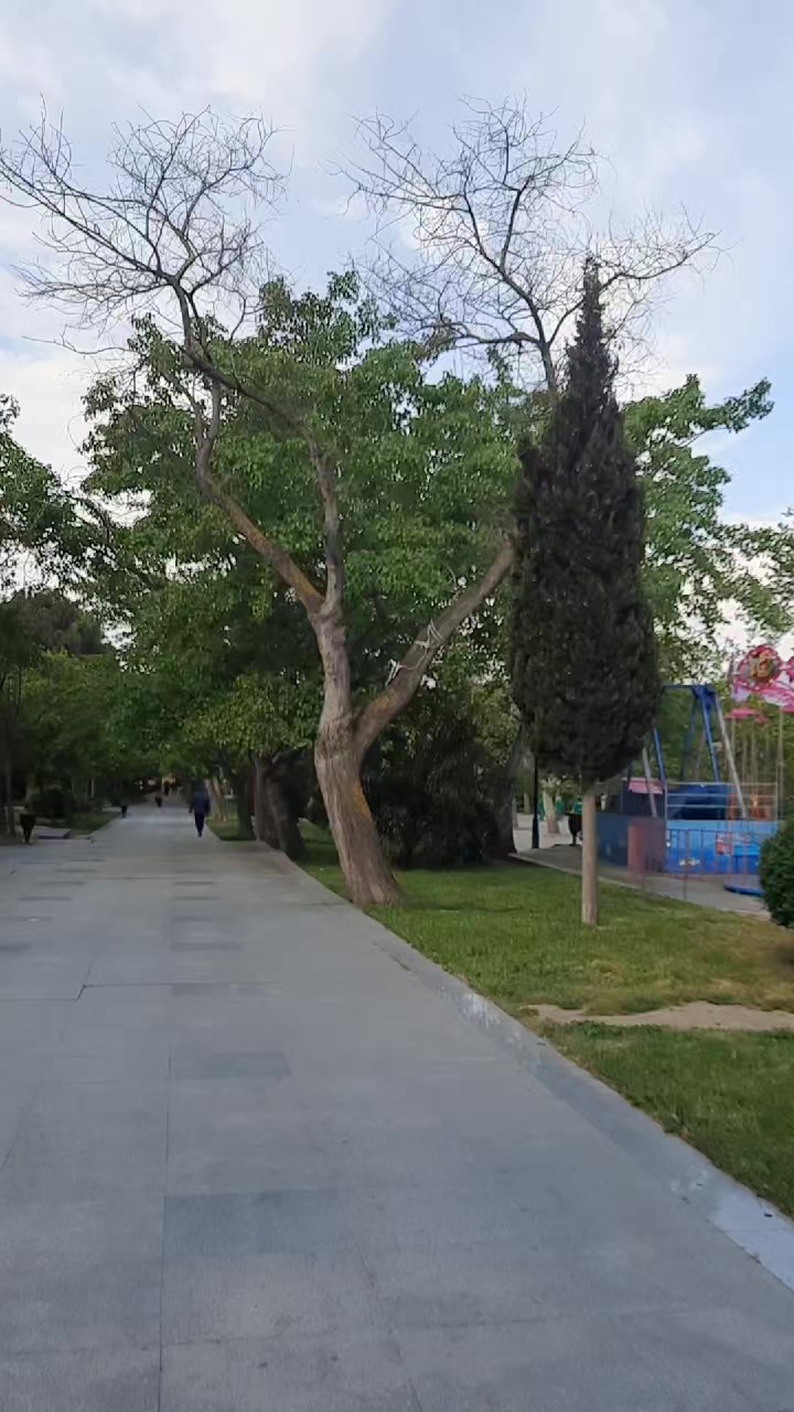 @FAYDALI MƏSLƏHƏTLƏR