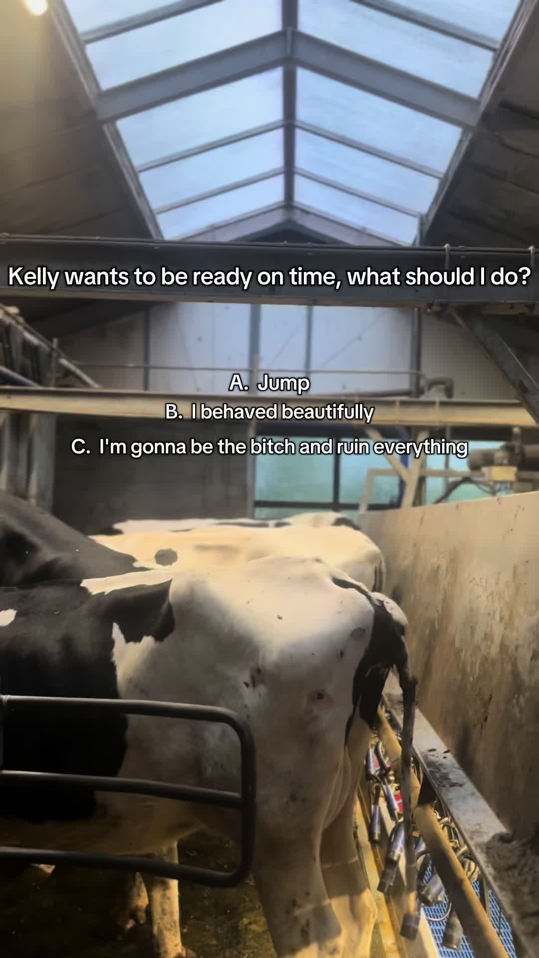 @Kelly