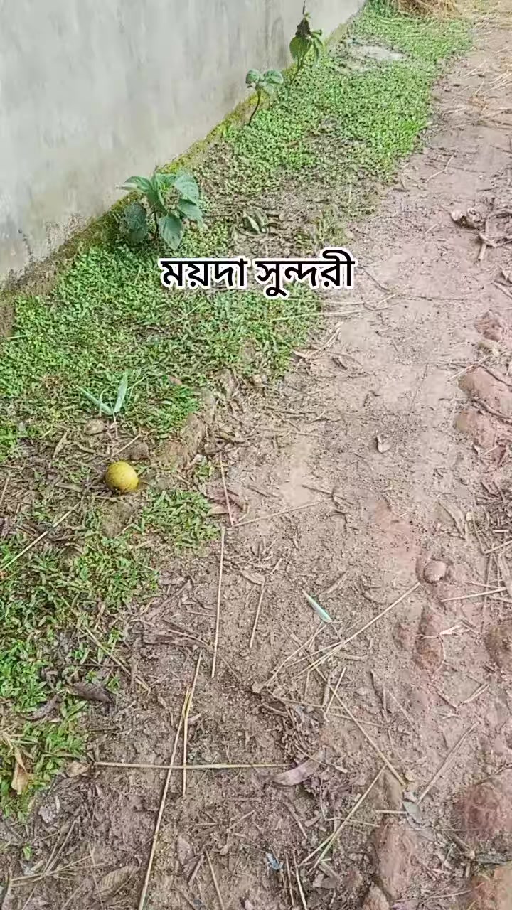 @S S SAIFUL 🇨🇵 ✈️