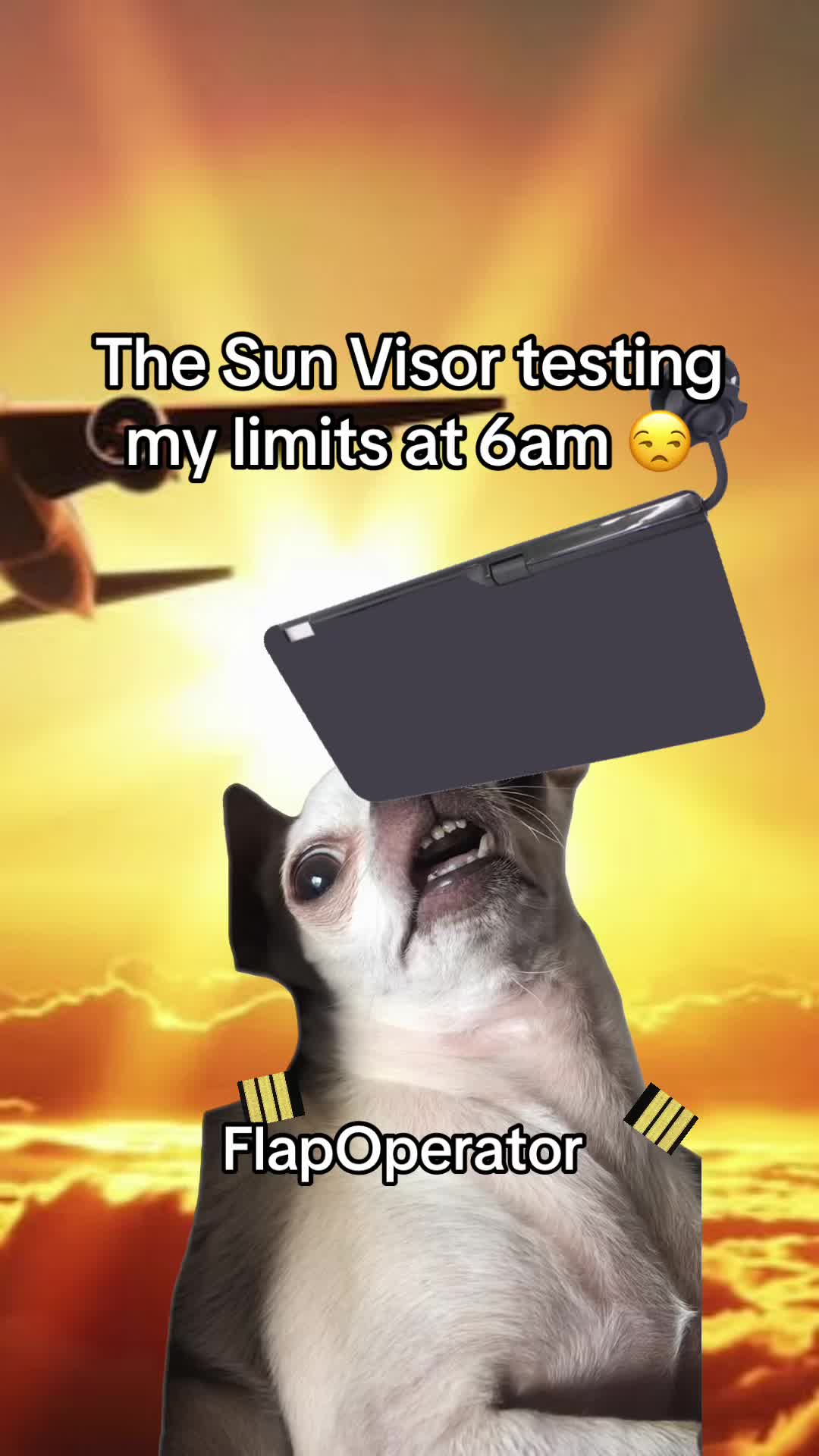 @Flap Operator