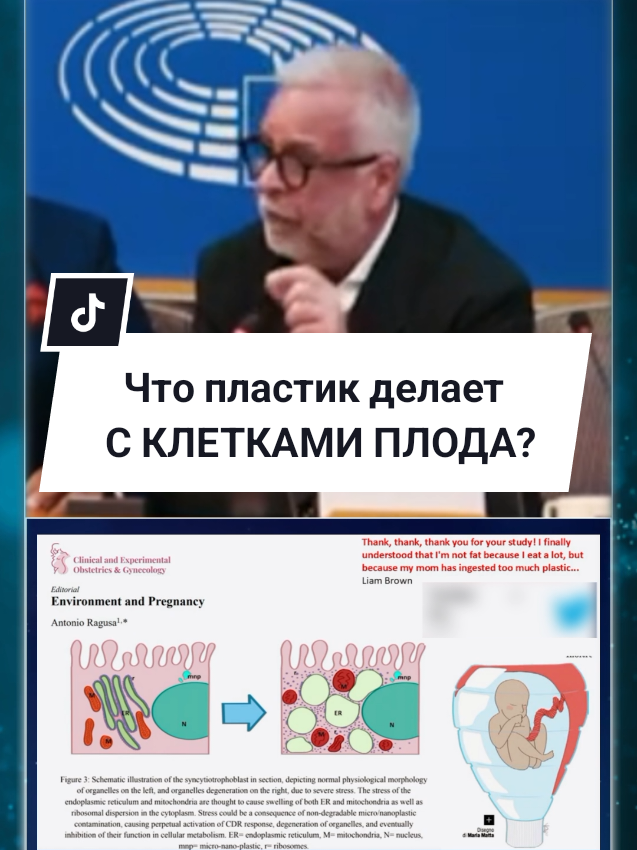 @Калейдоскоп фактов