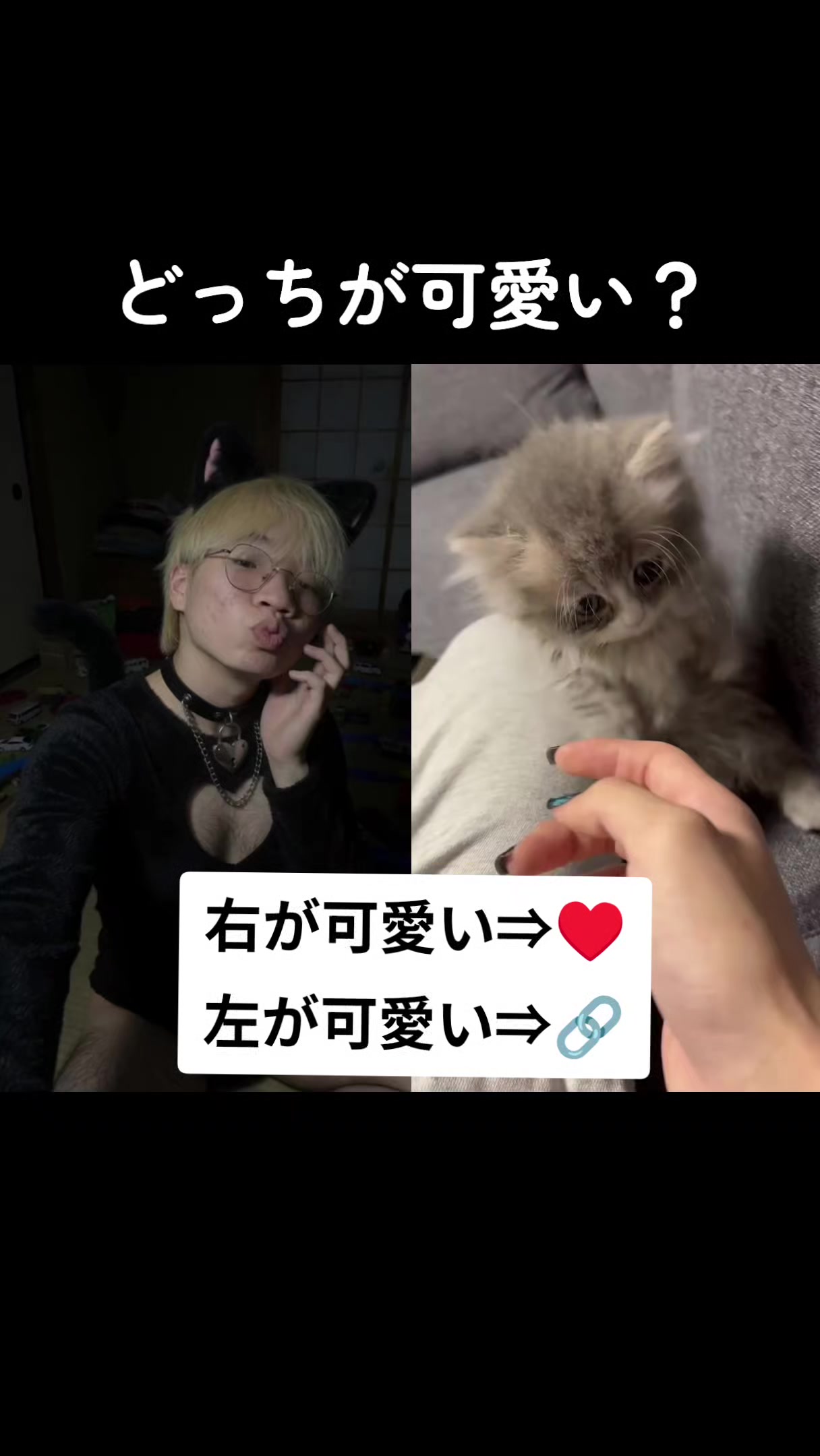 @超絶陽キャ光太