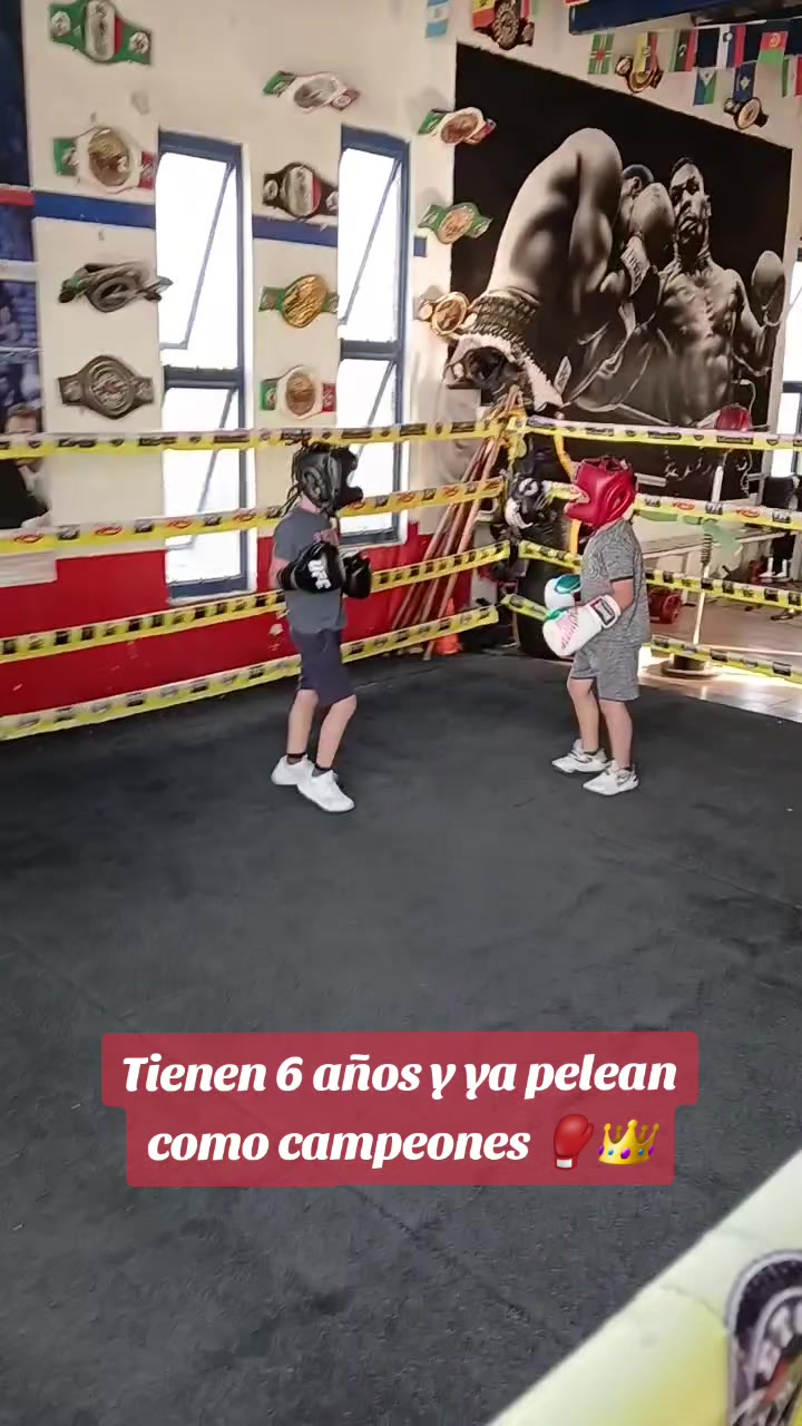 @netos boxing