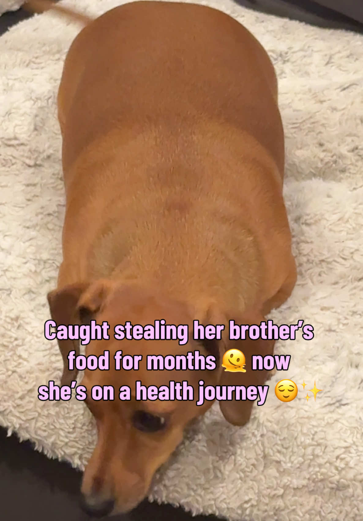 @Gigiheartskobe