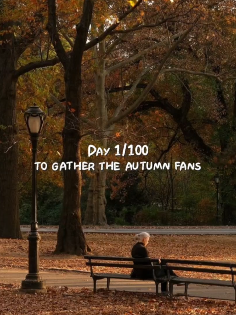 @🍂 seasons time 🍂