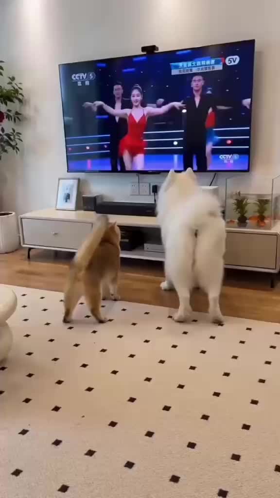 @Funny