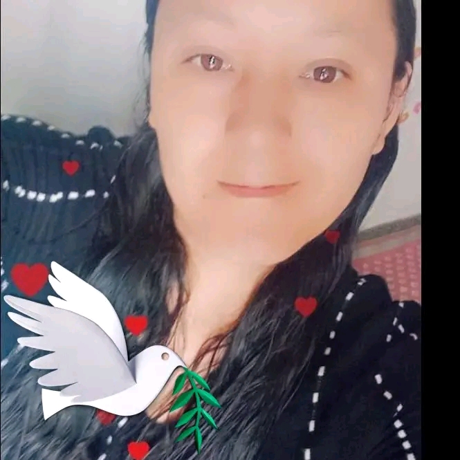 @palomita🕊️