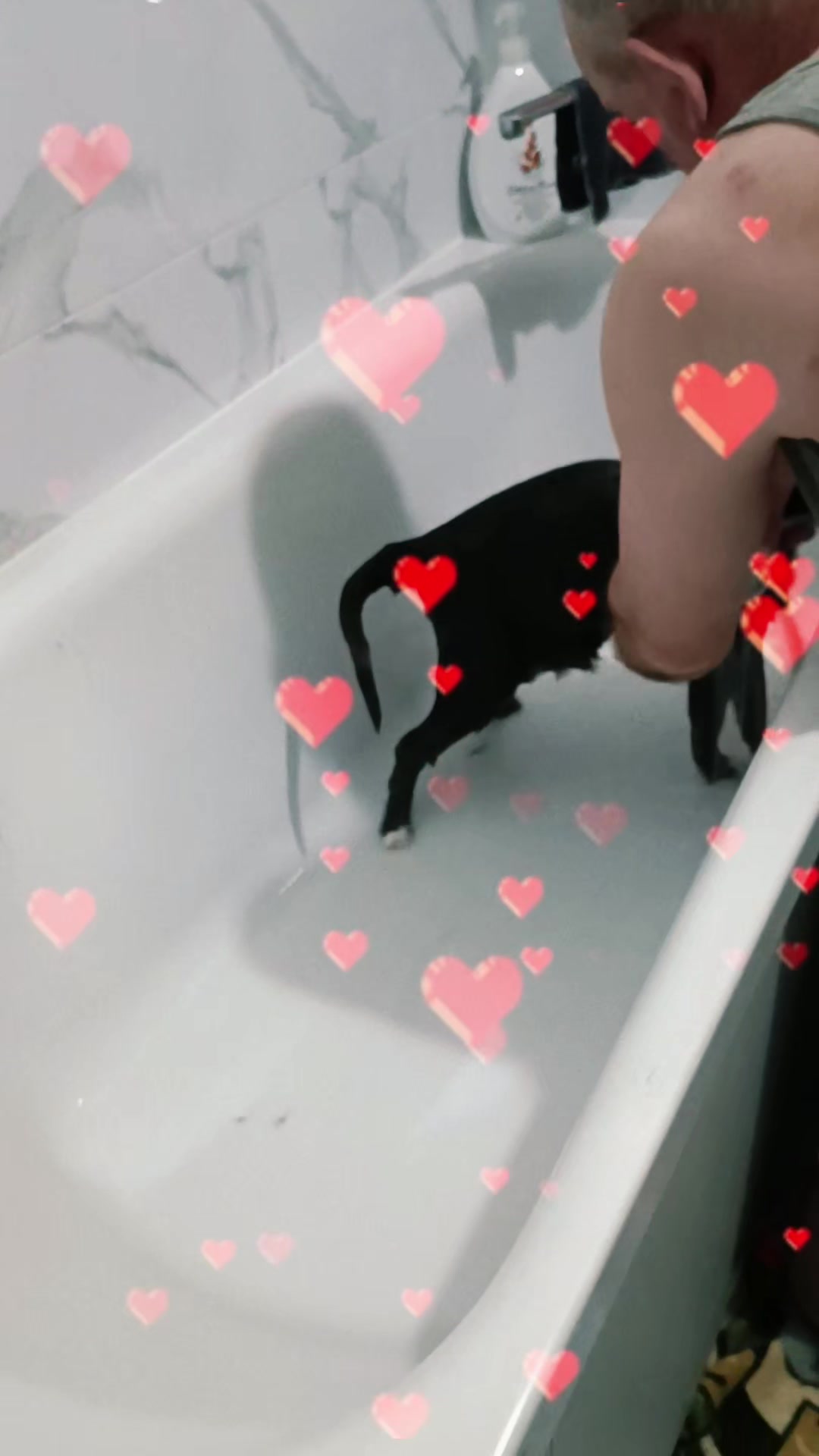 @MamaZina71