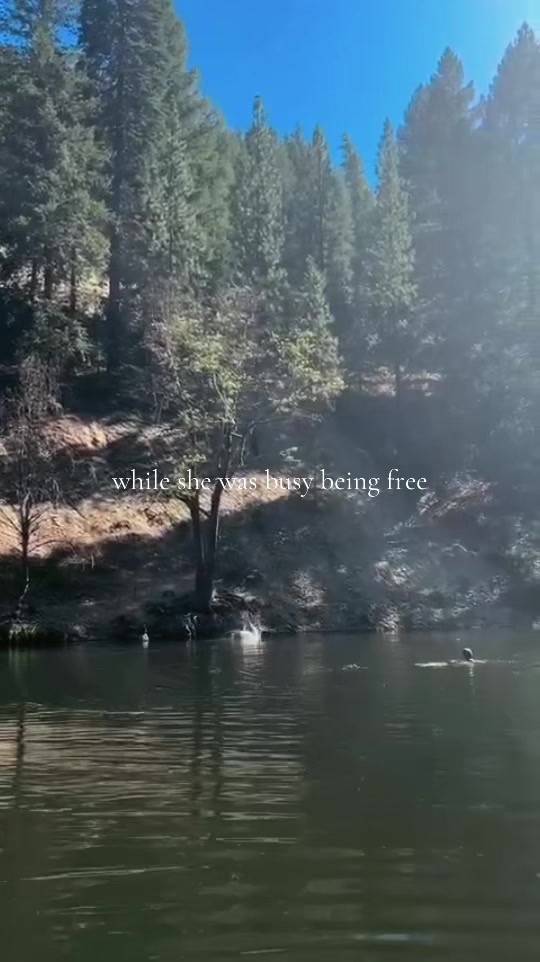 @𝙹𝚊𝚒𝚍 🦈