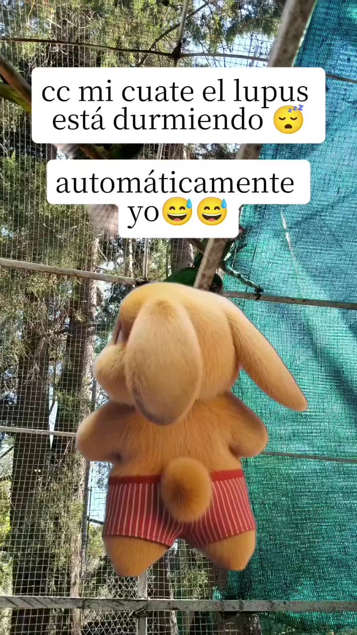 @Hc Ariane Alice