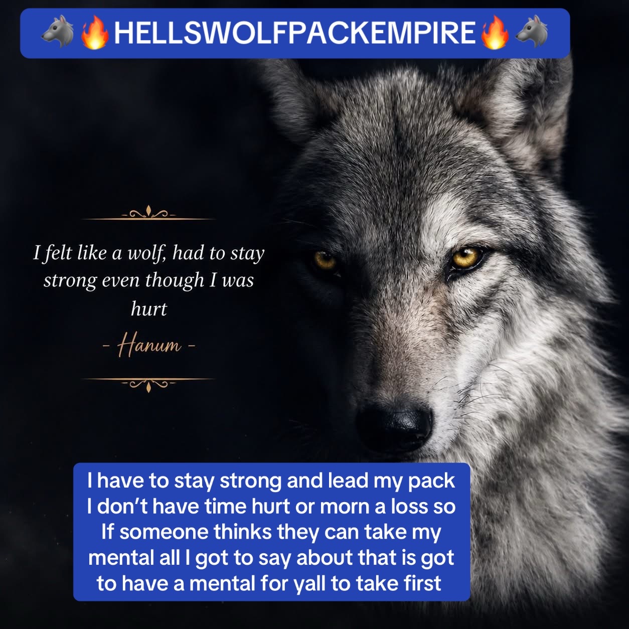 @👑🐺ALPHAGHOSTWOLF🐺👑