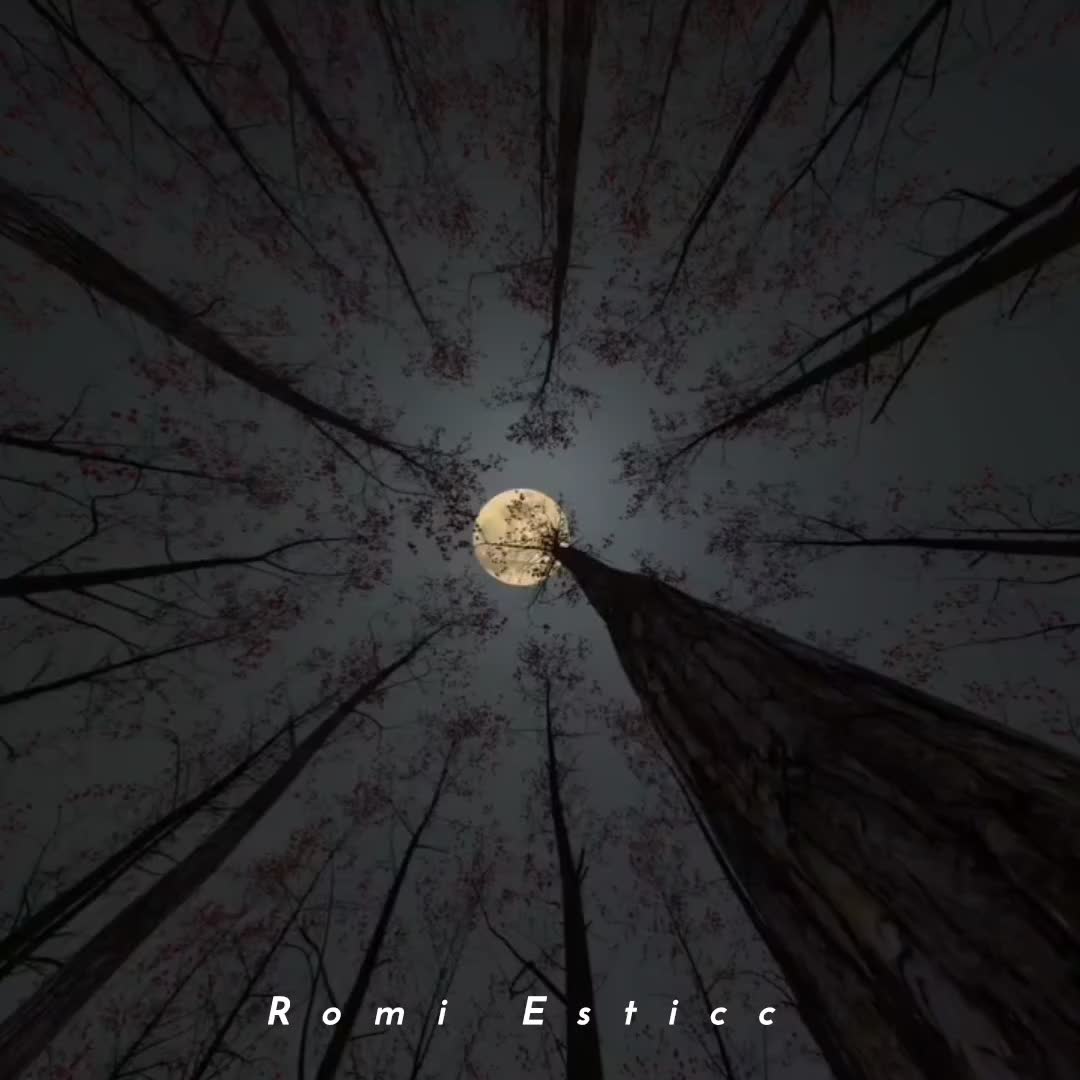 @𝙍𝙤𝙢𝙞 𝙀𝙨𝙩𝙞𝙘𝙘 &bull; 🎧🪐