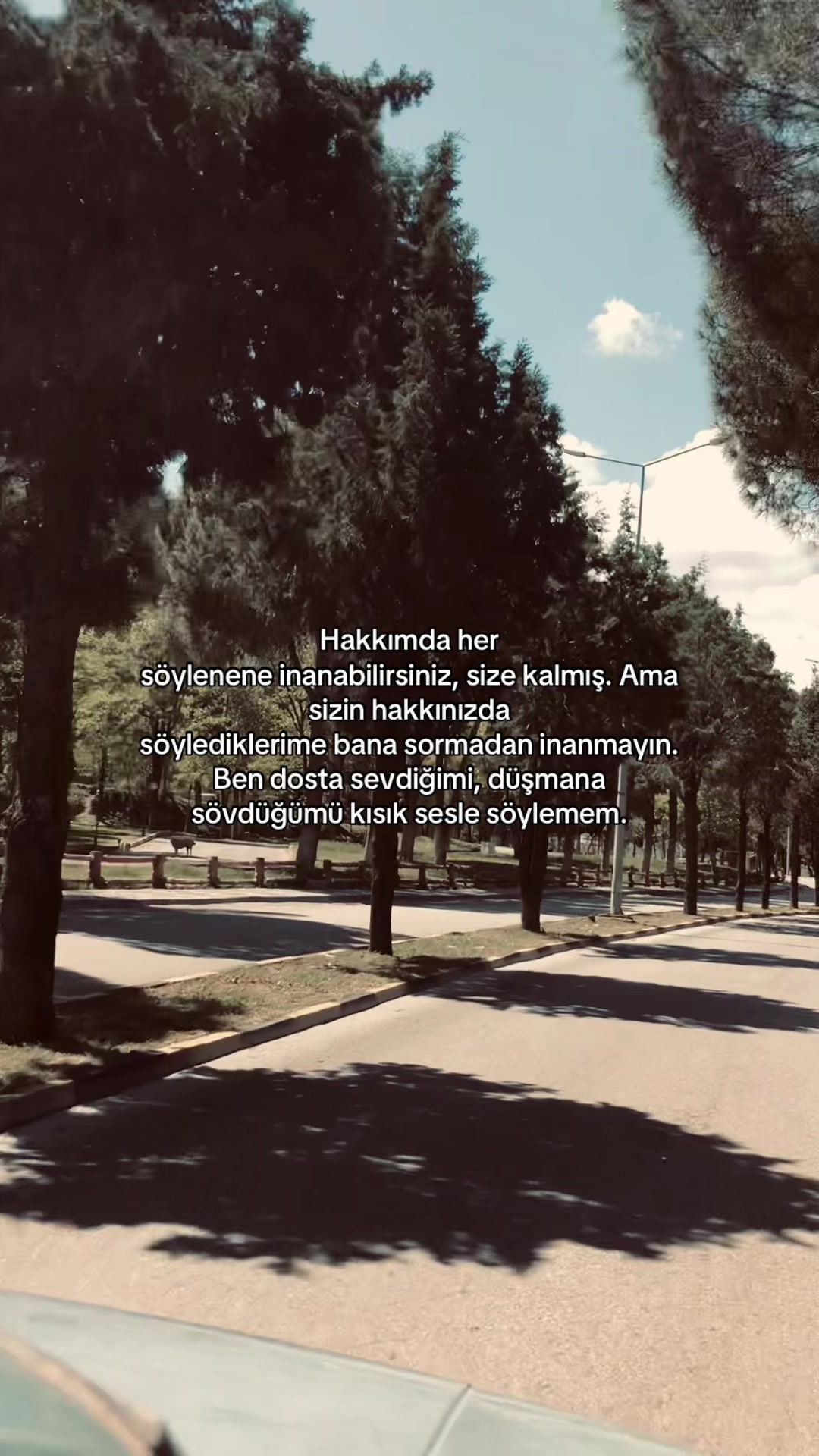 @ᴍᴇʜᴍᴇᴛ ᴀʟɪ ᴋᴏ&ccedil; 