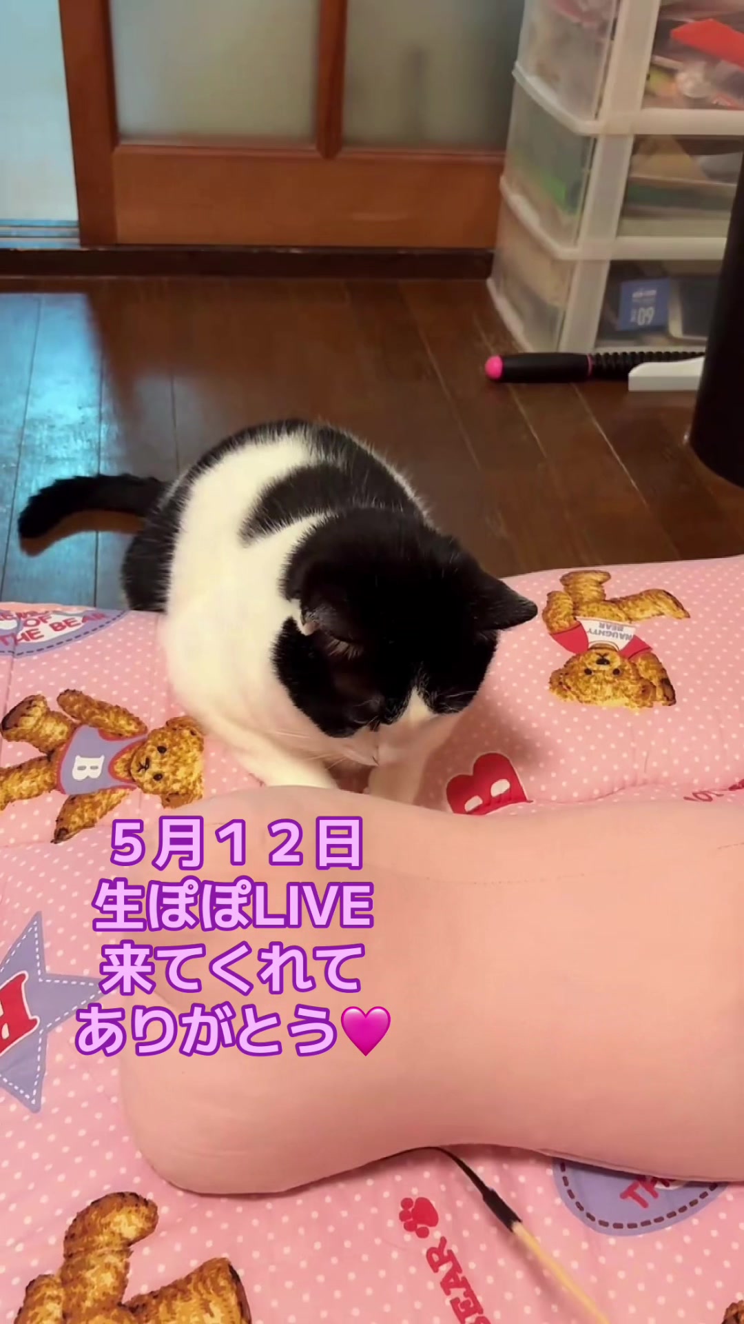 @🌱かおけろ🌱