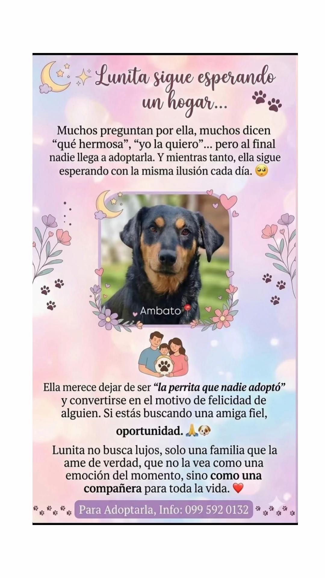 @Amigoscaninos_Ambato