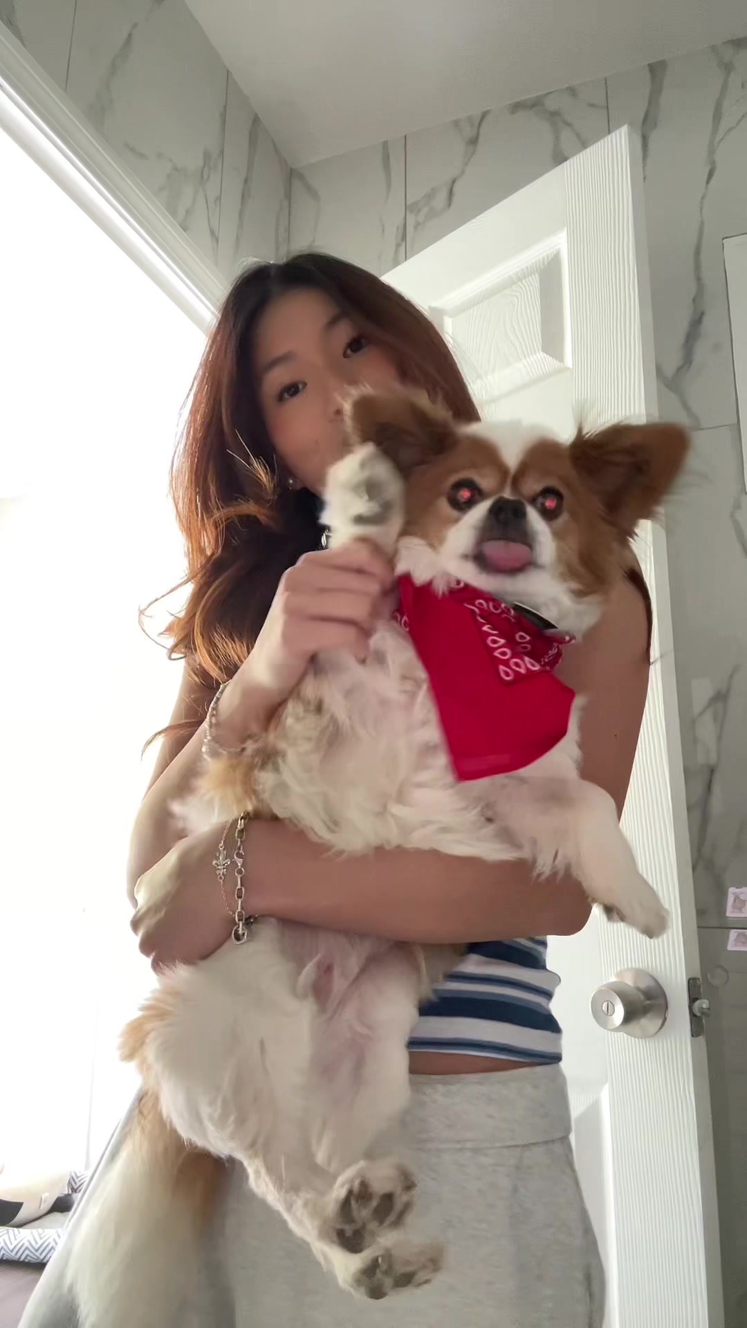 @wenxi