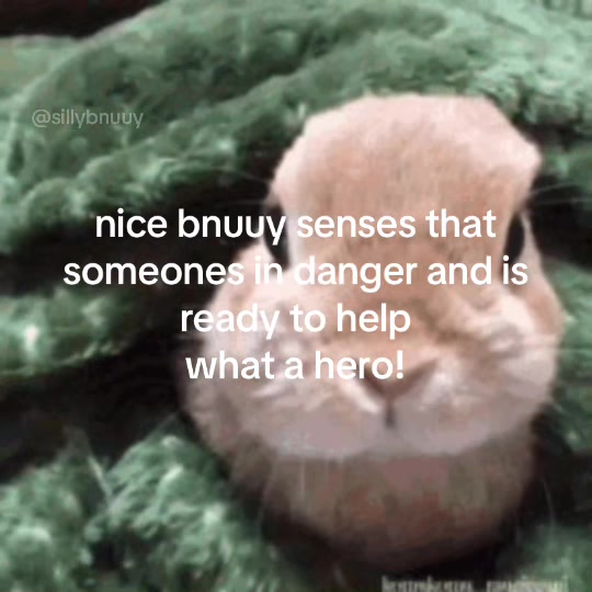@bnuuy