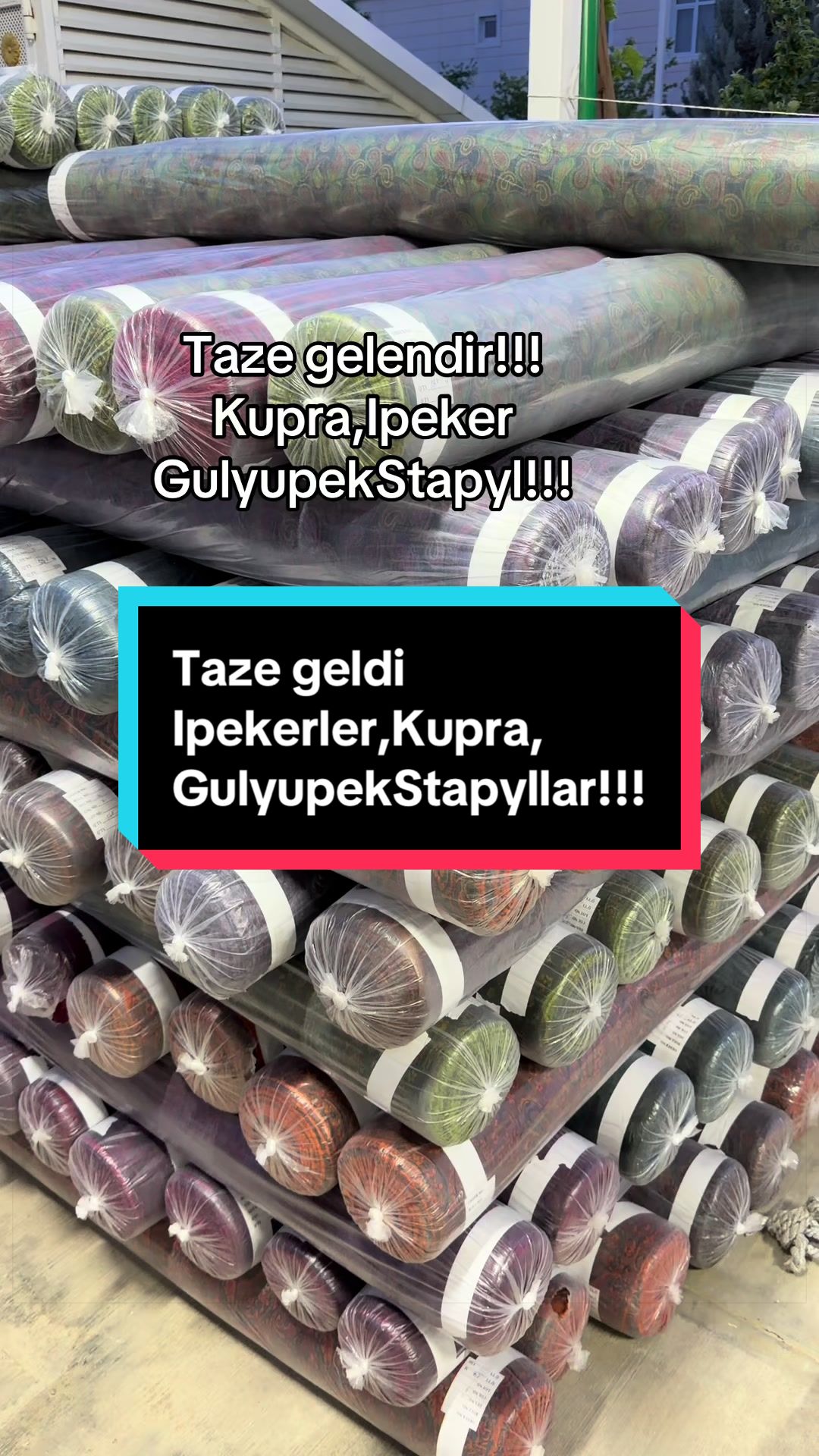 @Birinji el Optam Stapyllar1