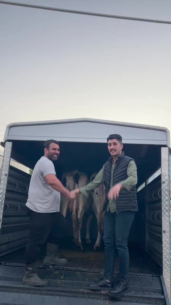 @Bekir Erdem🦅