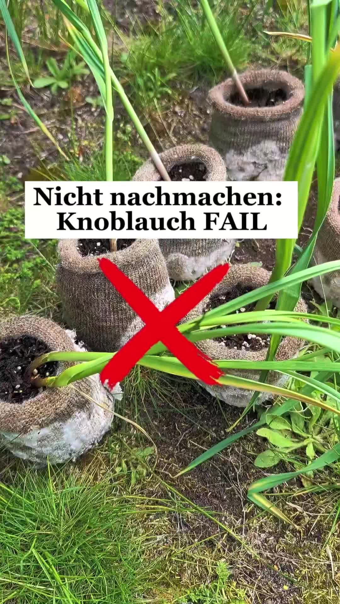 @ErnteExperte