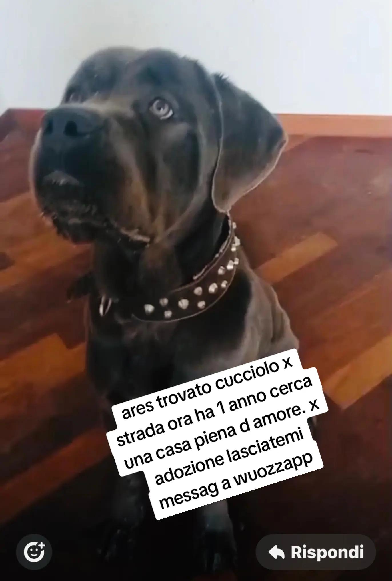 @Gina Boccia