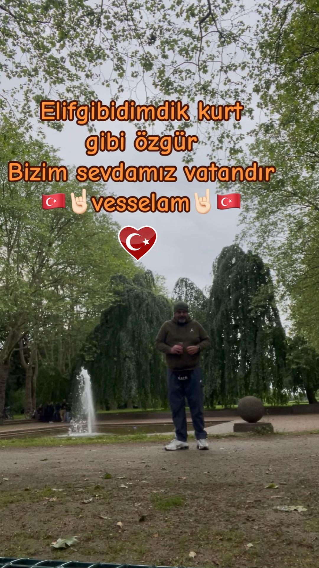 @dilavereryilmaz