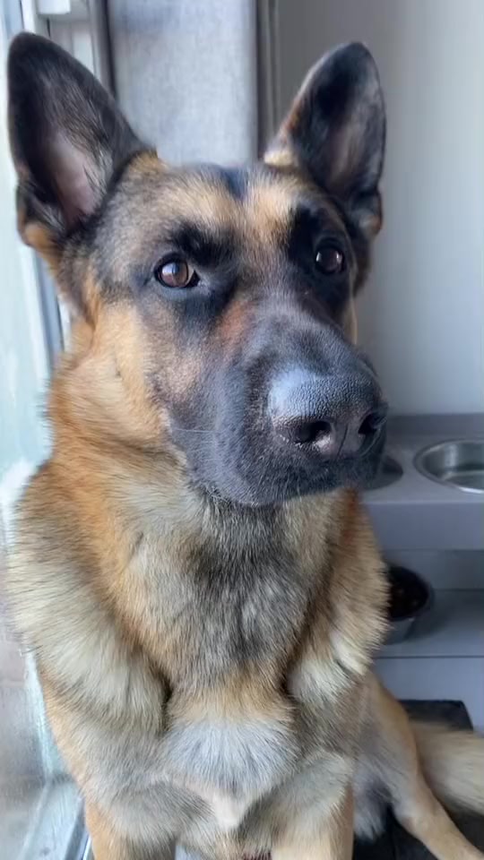 @Martygsd