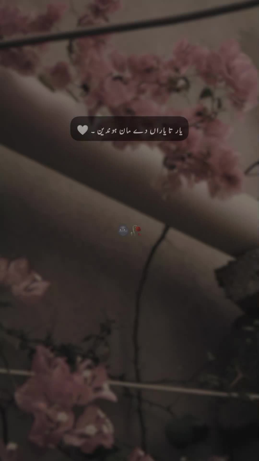 @๐ ๐ ๐ ๐ข ๐๐ซ