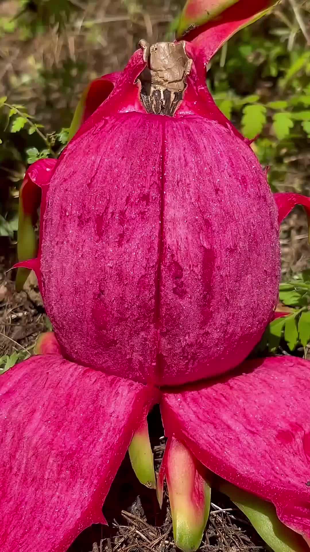 @𝐈𝐒𝐋𝐀𝐌𝐈𝐂 𝐕𝐈𝐁𝐄𝐒🥀