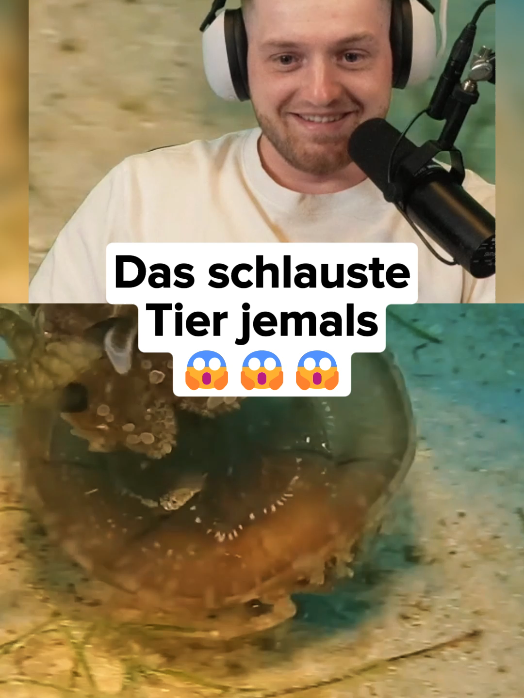 @Twitch Germany Clips